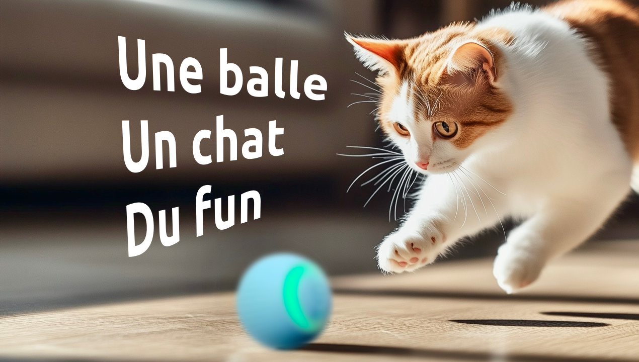 Chat jouant avec la balle interactive - vue desktop