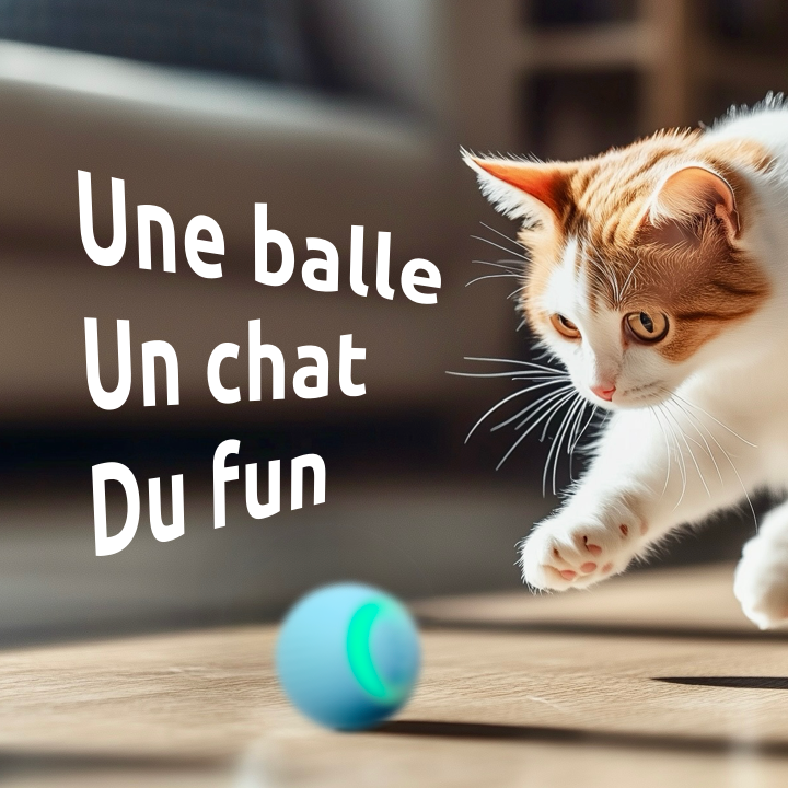 Chat jouant avec la balle interactive - vue mobile.